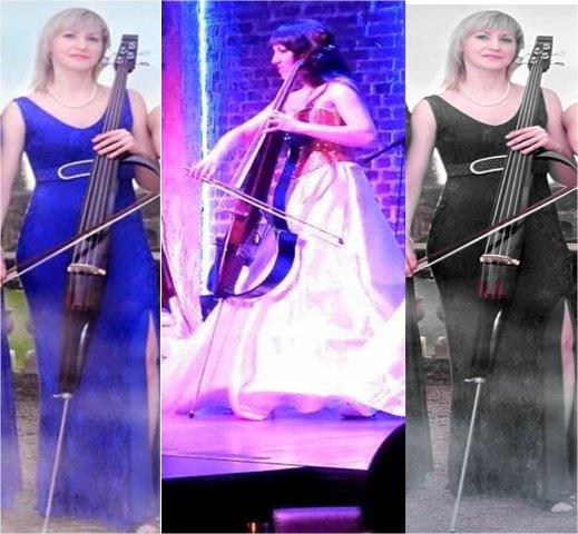 cello artists maharashtra