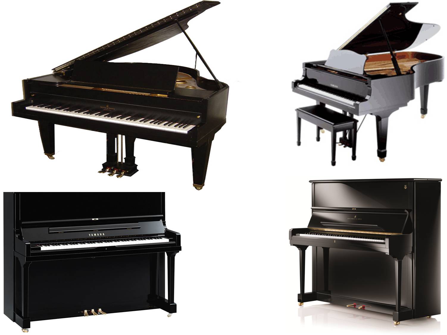 Grand Piano on rent in Maharashtra